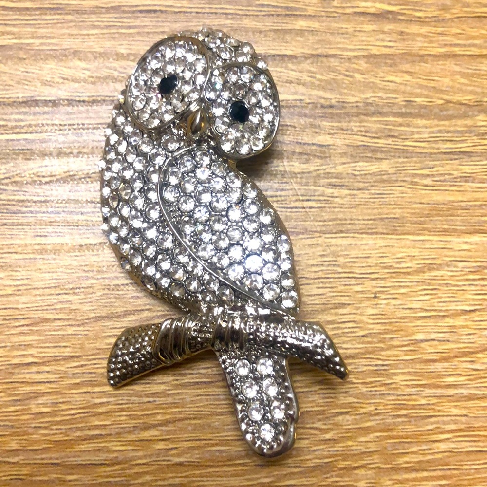 OWL PIN